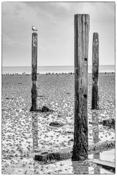 Kust van Terschelling