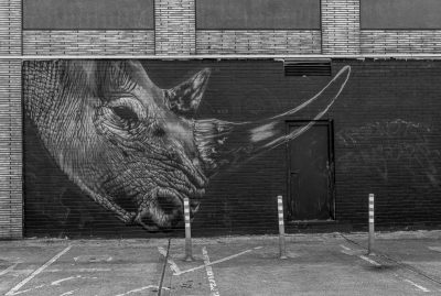 Graffiti neushoorn Londen Straatfotografie